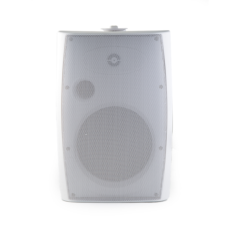 137D 80W Two-Way Crossover Wall Mount Power Amplifier | 8" Commercial Audio for Home Theatre