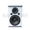Professional Speaker F8