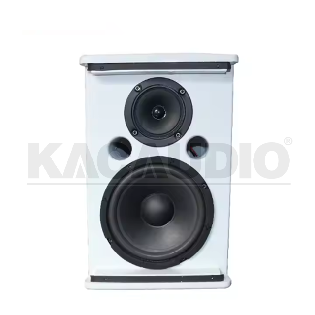 Professional Speaker F8
