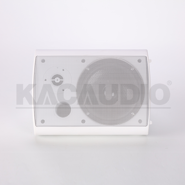 Wall Speaker 124B