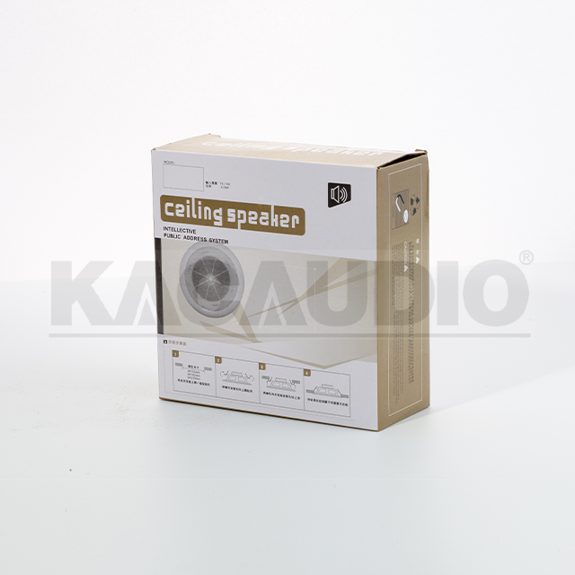 Ceiling Speaker 104