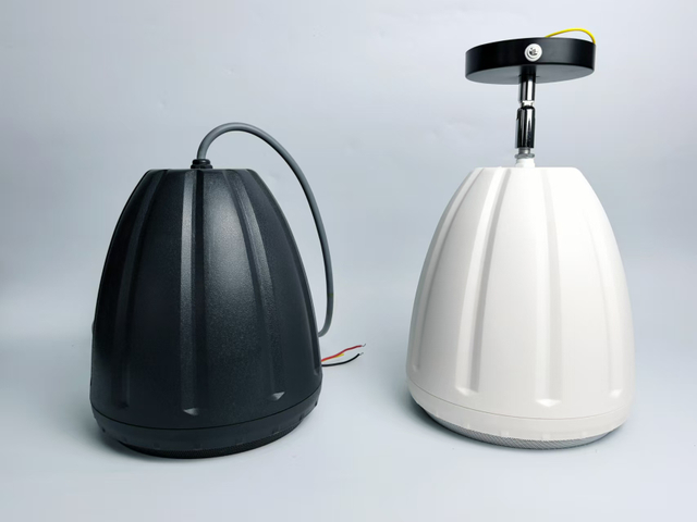 Wholesale 510Q 5.5 Inch 30W Hanging Audio Speaker Hot Sale School Public Address Speaker 100V/8Ω