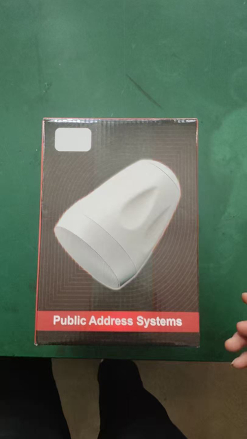 Hot Sale 510M 5.5" 30W Hanging Ball Audio Speaker Hanging Speaker for School PA System 100V/8Ω