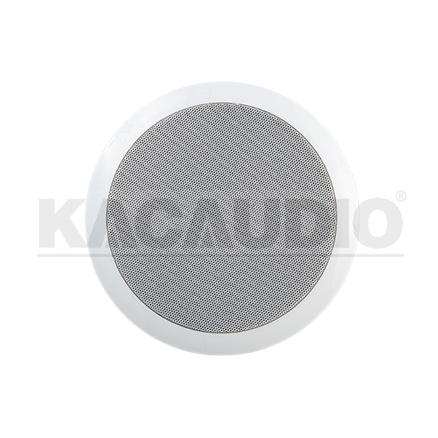 Ceiling Speaker 104