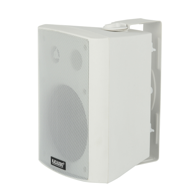 124B 5 Inch 30W Wall Mounted Speaker | 8 Ohm 100V PA System Speaker for Public Address