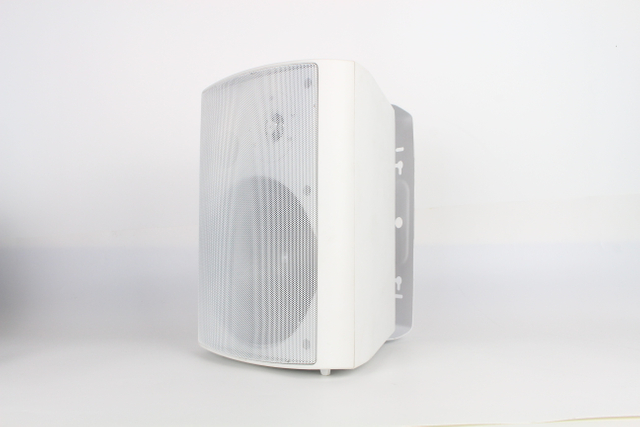 124C 6.5 Inch 40W Wall Mounted Speaker System for Public Address