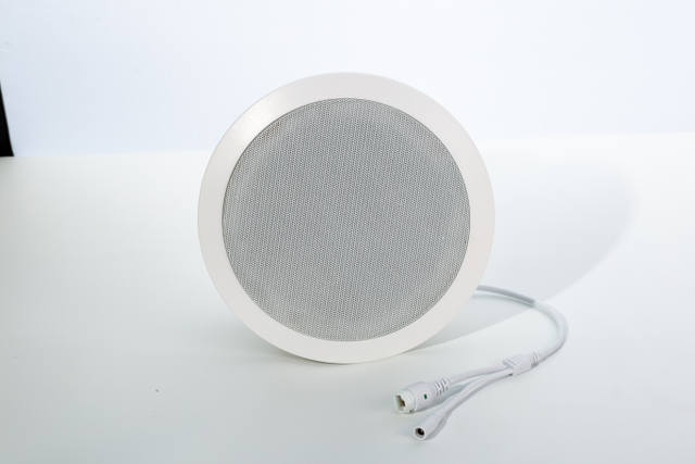 KCP-908 30W 6.5 Inch Coaxial IP Network Wall Mount Speaker Embedded Decoding Amplifier ABS Shell PoE Optional