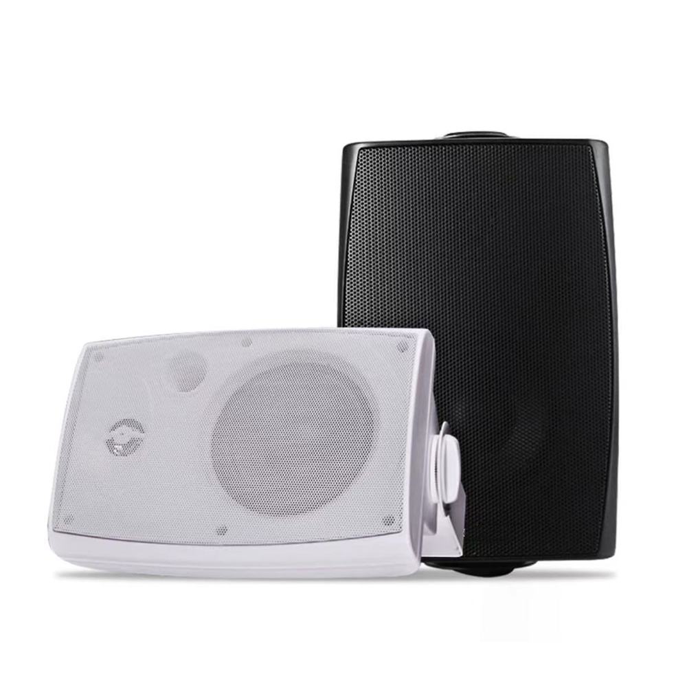 2.Wall Mount Speaker.jpg