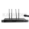 Wireless Microphone WE-3018