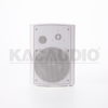 Wall Speaker 124B