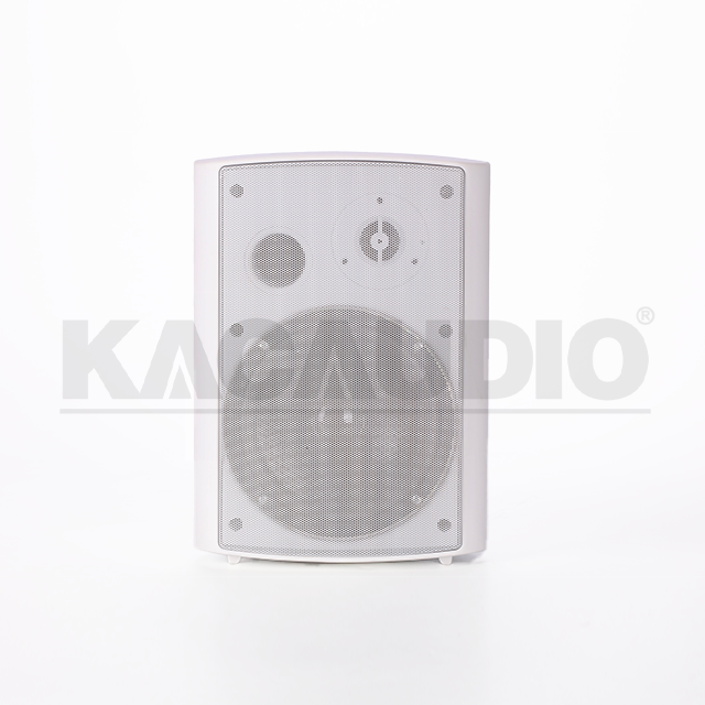 Wall Speaker 124B