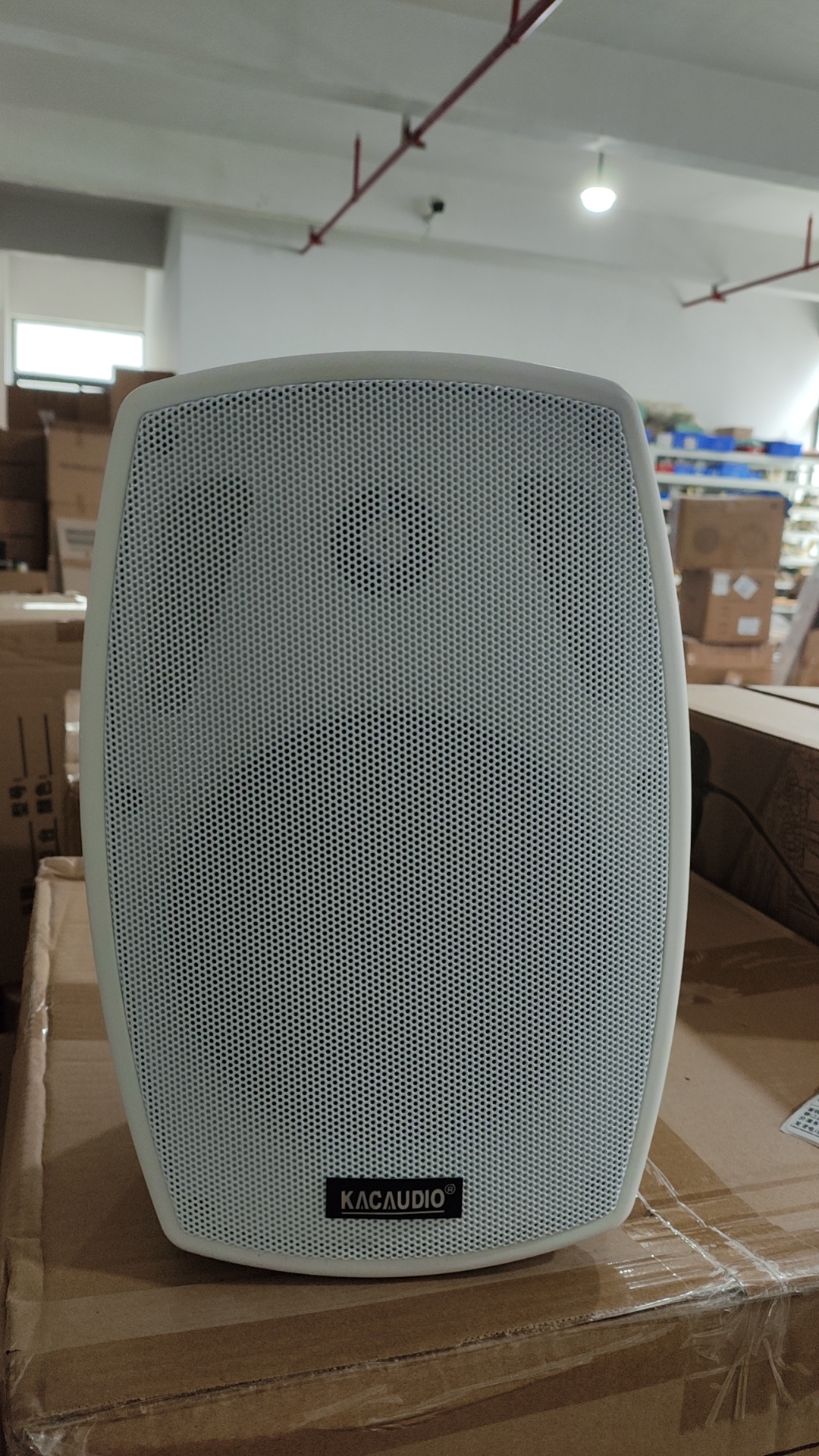 208A 4-Inch 20W Wall Mount Speaker 100V/8Ω Public Address System Commercial Audio Loudspeaker