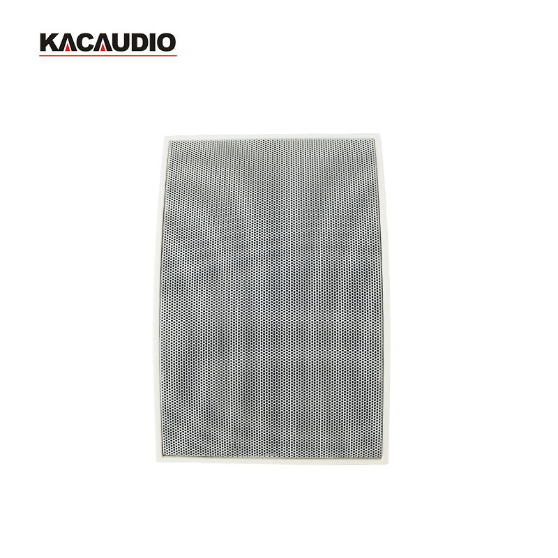 131 5 Inch 8 Ohm 10W Indoor Wall Mounted Speaker Factory Supplier for Public Address System