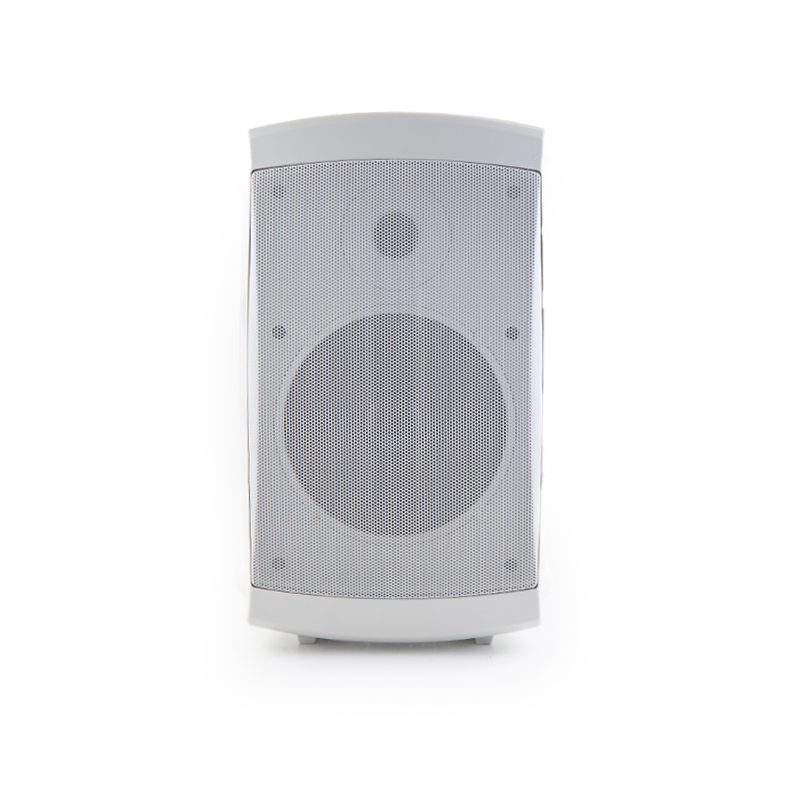 126 6.5 Inch Two-Way Wall Mounted Speaker Set | Wired PA Speaker for Home Theatre