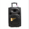 15 Inches Multifunction Portable Trolley Speaker KC-1015 High Quality Karaoke Audio with Dual Wireless Microphones