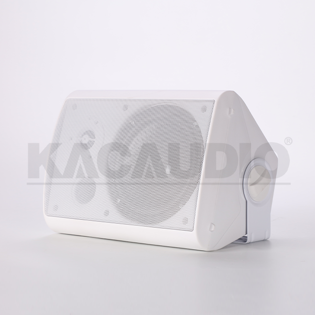 Wall Speaker 124B
