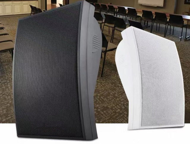 131 5 Inch 8 Ohm 10W Indoor Wall Mounted Speaker Factory Supplier for Public Address System