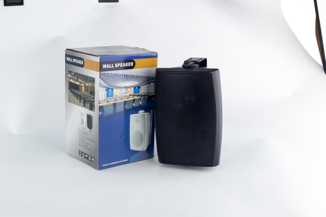 Hot Selling 124B 5" 30W Wall Mount Speaker for Public Address System