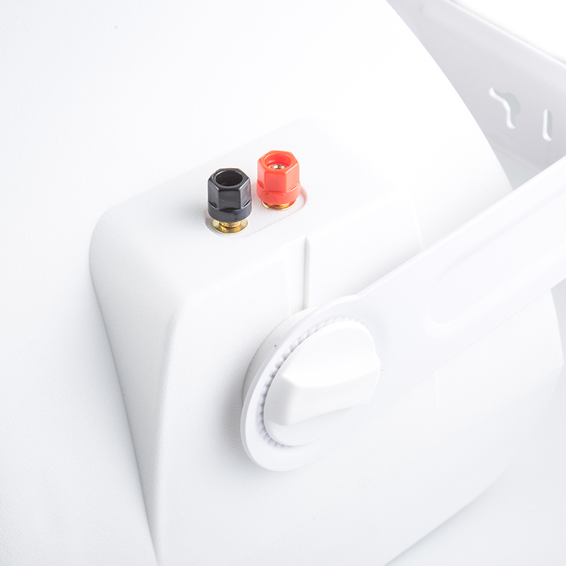 137D 80W Two-Way Crossover Wall Mount Power Amplifier | 8" Commercial Audio for Home Theatre