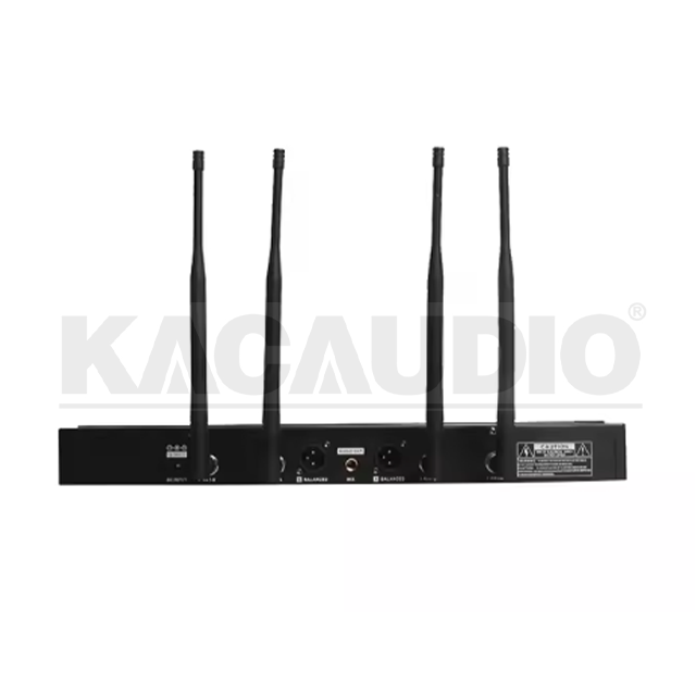 Wireless Microphone WE-3018