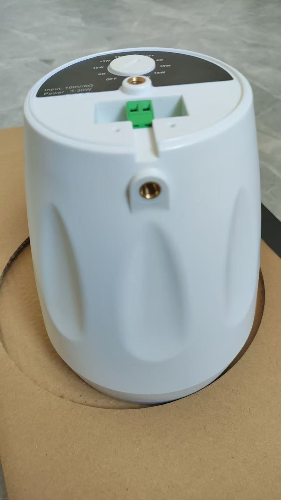 Hot Sale 510M 5.5" 30W Hanging Ball Audio Speaker Hanging Speaker for School PA System 100V/8Ω
