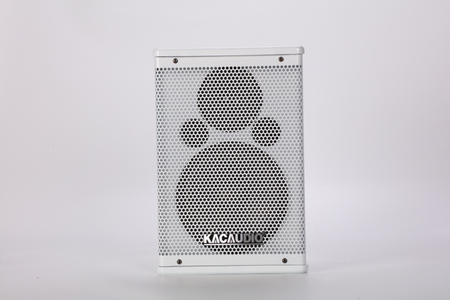 F6 2-Way Full Range Professional Speaker 100W 8Ω 6.5" Bass Home Karaoke Meeting Room Audio Speaker