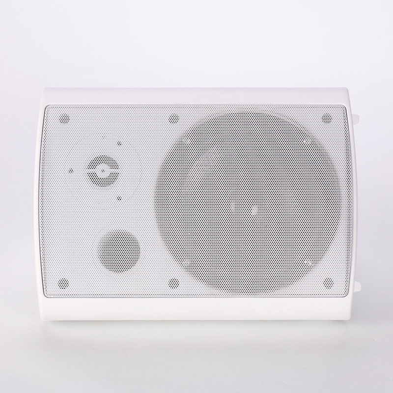 Wall Mounted IP Network Loudspeaker Midrange Audio System Professional Wall Mounted Speaker KCP-8012