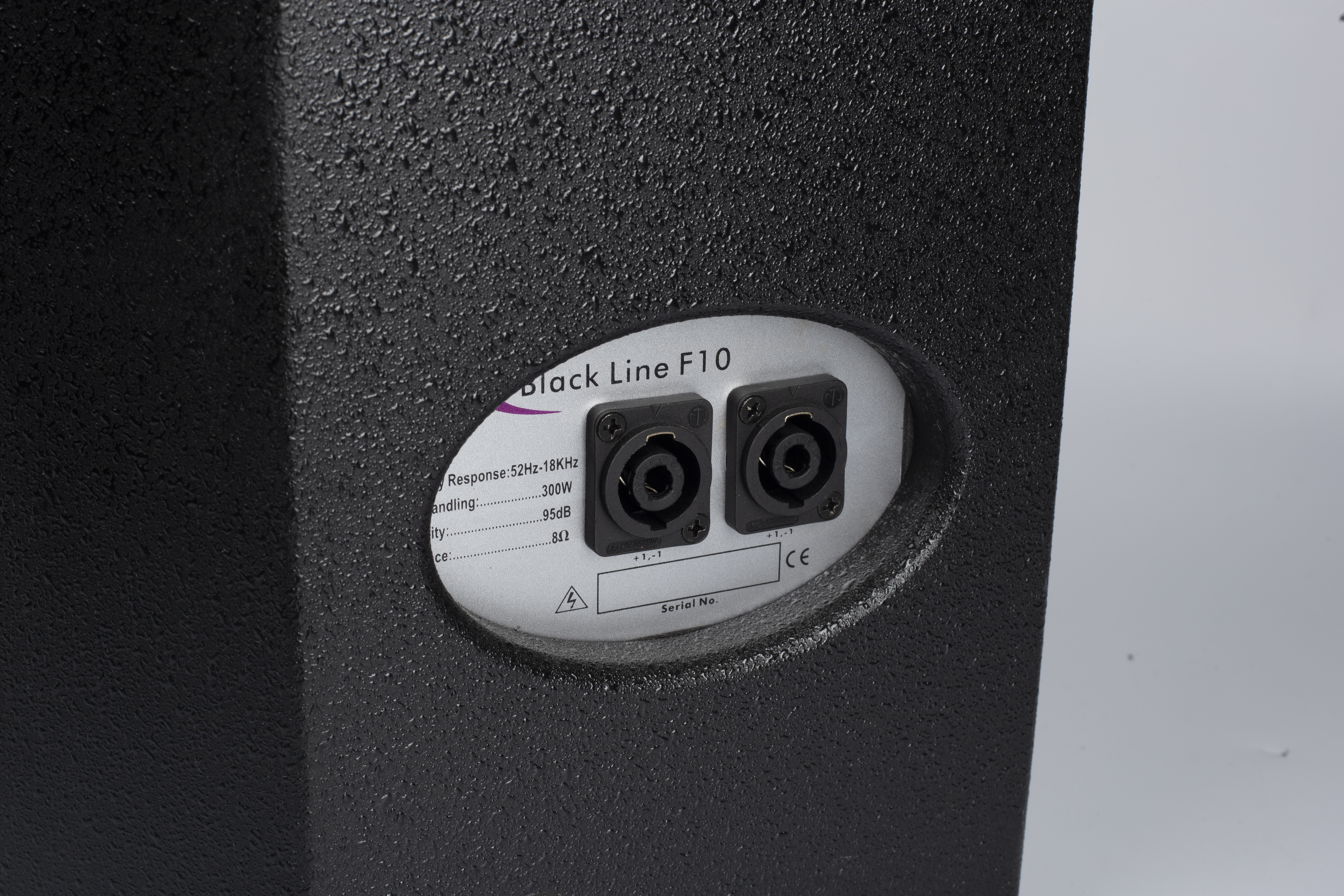 F12 2-Way Full Range Speaker 100W RMS Wooden Cabinet 12" Speaker for Home Theater & Conference