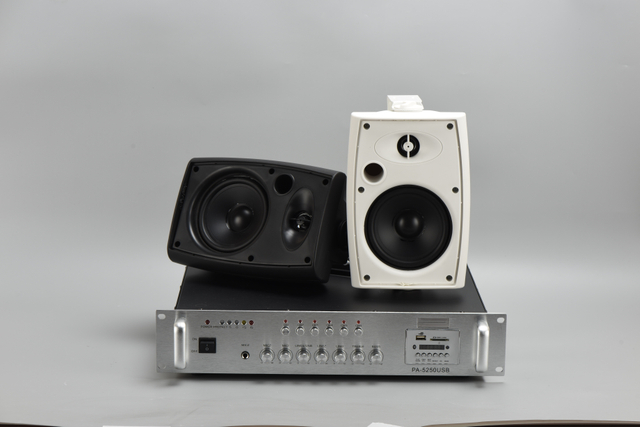 137D 80W Two-Way Crossover Wall Mount Power Amplifier | 8" Commercial Audio for Home Theatre