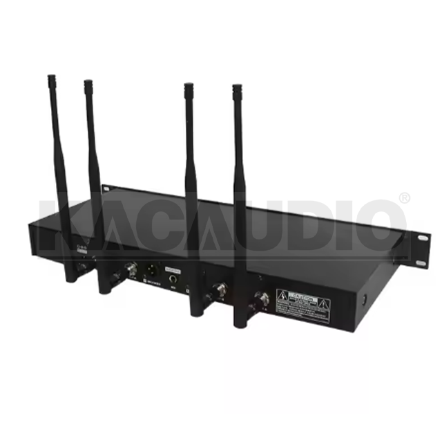 Wireless Microphone WE-3018