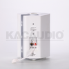 Wall Speaker 124B