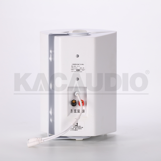 Wall Speaker 124B