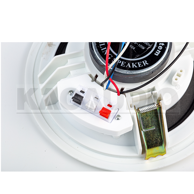 Ceiling Speaker 104