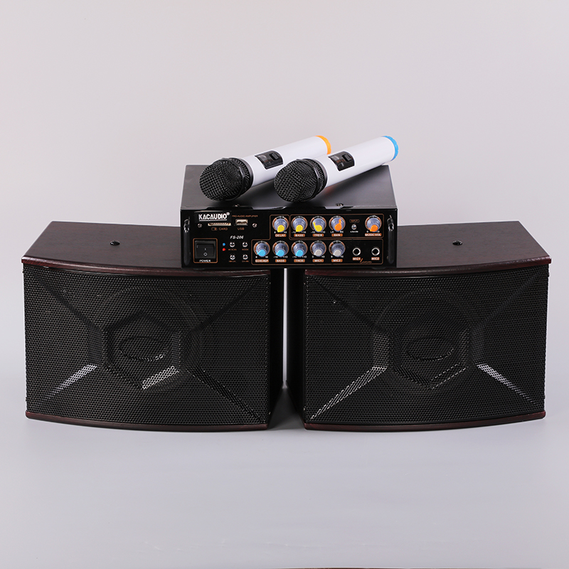 Model 250 60W/120W Peak 6.5" Professional Conference Speaker Two-Way 8Ω MDF Cabinet PA Loudspeaker