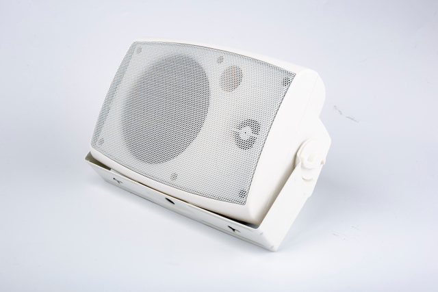 137A 10-30W Two-Way Wall Mounted Speaker | High Quality PA System Home Theatre Loudspeaker