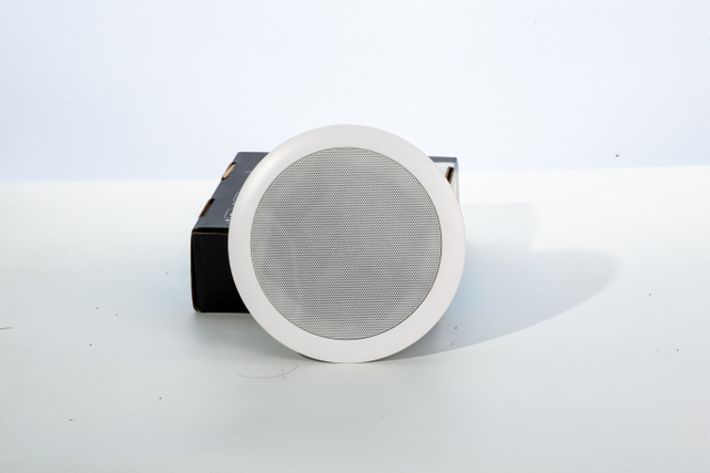 Factory Wholesale 703 8Inch 60W Coaxial Hifi Ceiling Speaker Amplifier Design for Church Mosque Sound System