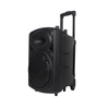 15 Inches Multifunction Portable Trolley Speaker KC-1015 High Quality Karaoke Audio with Dual Wireless Microphones