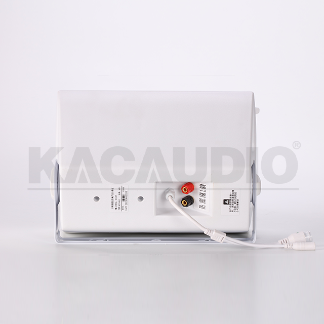 Wall Speaker 124B