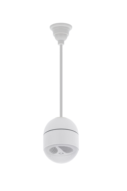 510G 4.5 Inch 15W Hanging Ball Speaker Hot Sale Hanging Audio Speaker for School Public Address