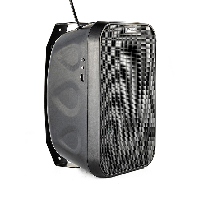 209B IPX6 Waterproof Wall Mount Speaker 10-30W Two-Way 100V/8Ω Outdoor Public Address Loudspeaker