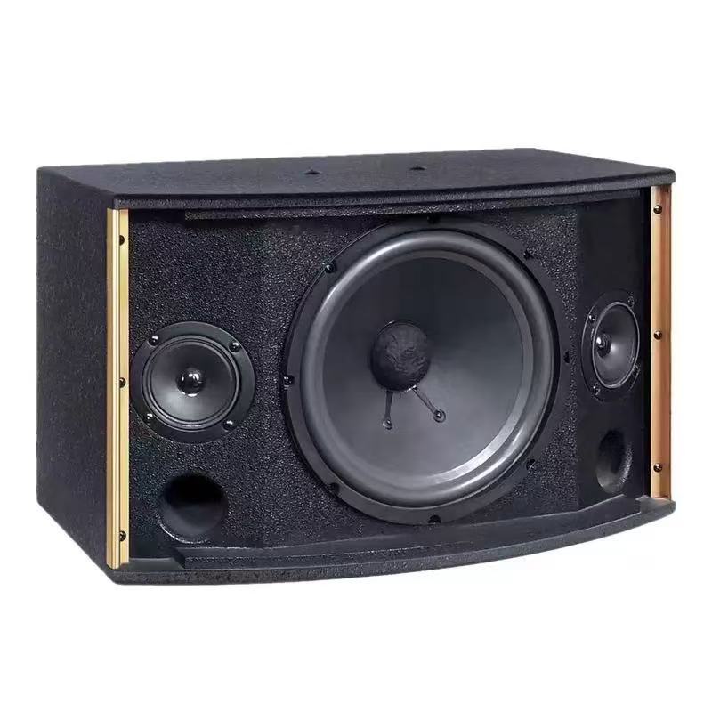 Professional Card Pack Speaker Model 750 250W RMS 500W Peak 8Ω Conference Room PA System