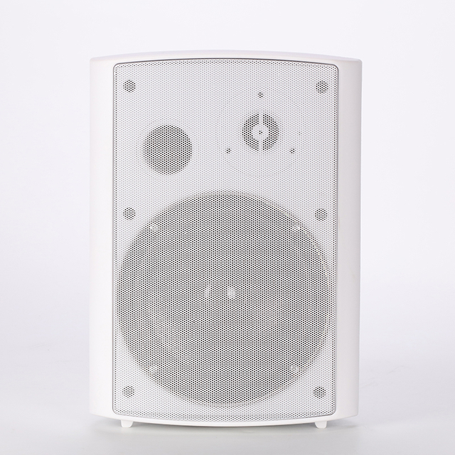 Wall Mounted IP Network Loudspeaker Midrange Audio System Professional Wall Mounted Speaker KCP-8012