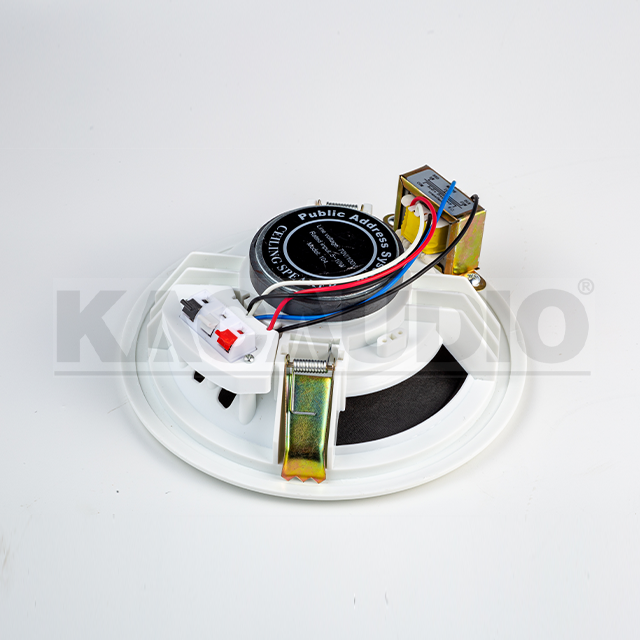Ceiling Speaker 104