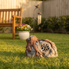 CP-89 20-40W All Weather Rock Shaped Outdoor Garden Speaker 5" Full-Range Woofer Glass Cabinet Wired PA System