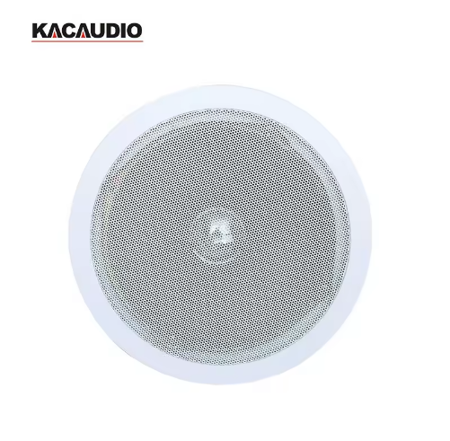 109 6 Inch 10W 100V Bass Subwoofer Ceiling Mount Speaker Factory Direct Price For Classroom Public Address System