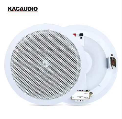 109 6 Inch 10W 100V Bass Subwoofer Ceiling Mount Speaker Factory Direct Price For Classroom Public Address System
