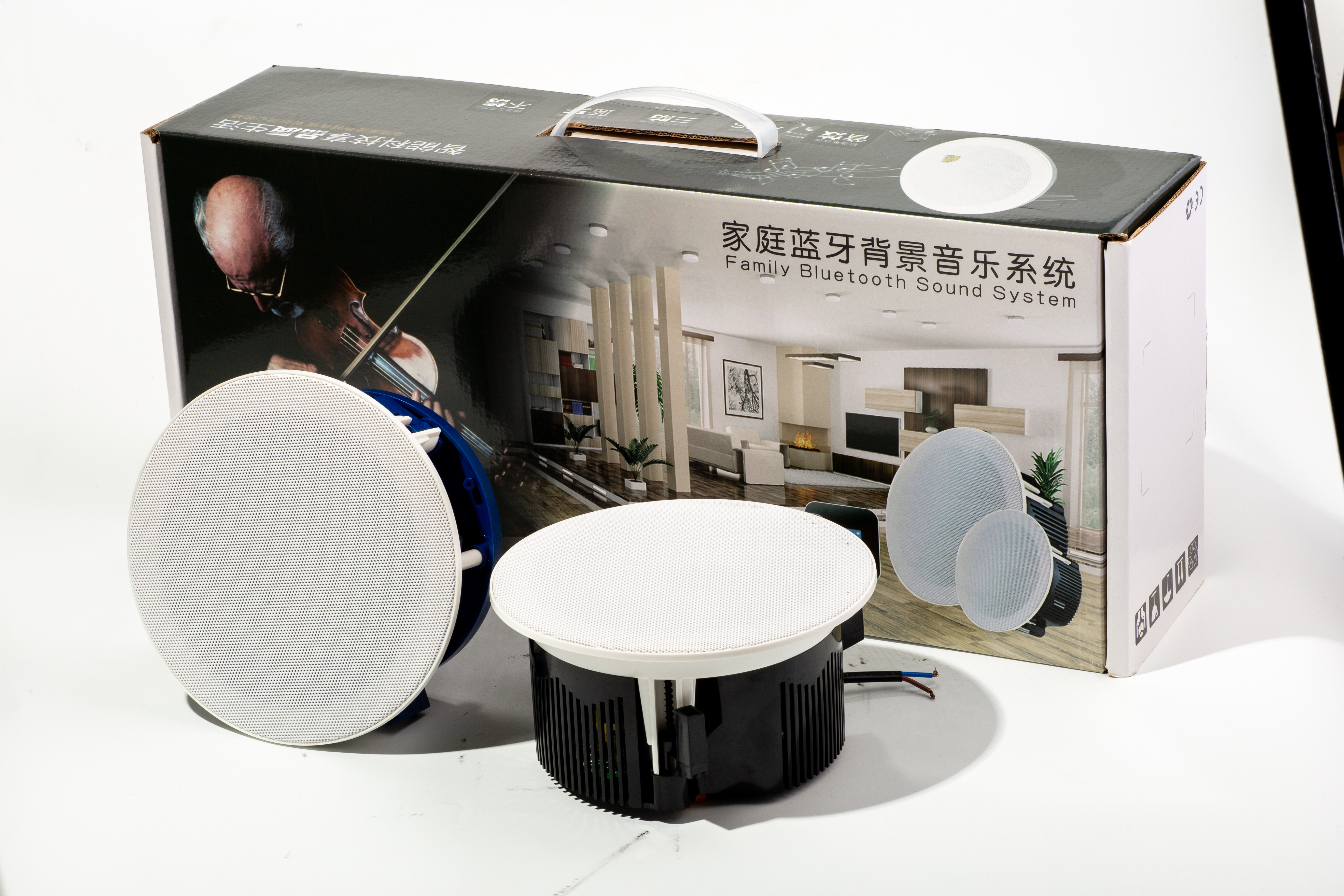 Active Ceiling Speaker 883 30W 92dB High Sensitive Sound System for Restaurant Cafe Shopping Mall