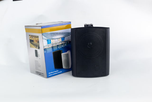 6.5 Inch Tweeter 40W Active Wall Speaker YY124C Built-in Amplifier Bluetooth USB AUX Infrared Remote Home Theater Audio