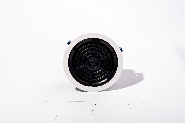 Active Ceiling Speaker 883 30W 92dB High Sensitive Sound System for Restaurant Cafe Shopping Mall