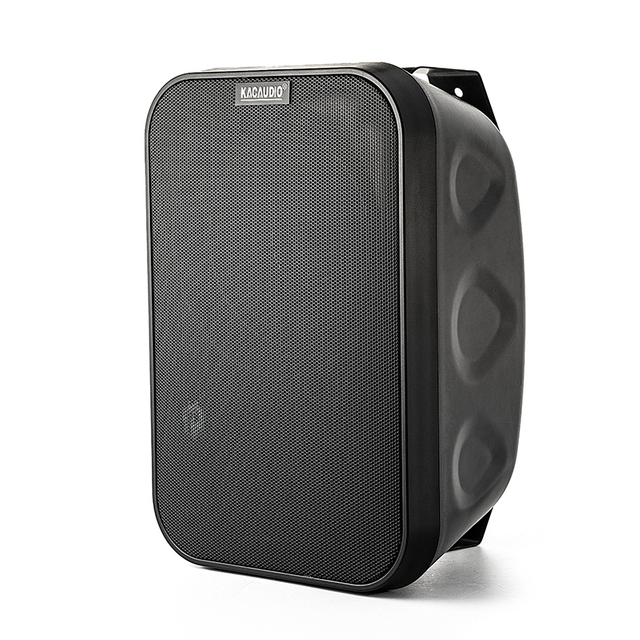 209C Flat Wall Speaker 6.5 Inch 60W 100V Exquisite Sound Quality Professional Wall Mount Speakers for Home